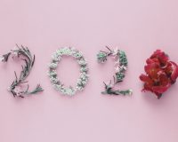 2020-made-from-natural-leaves-flowers-pink-background-happy-new-year-wellness-healthy-lifestyle_49149-1073